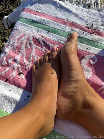 venicefeet37
