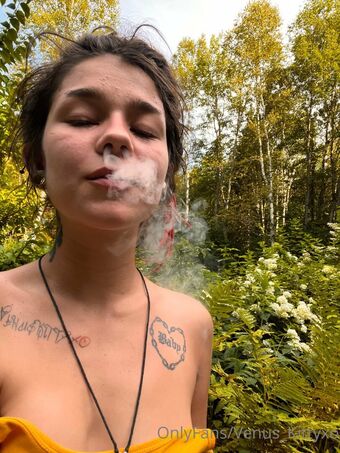 Venus-kitty