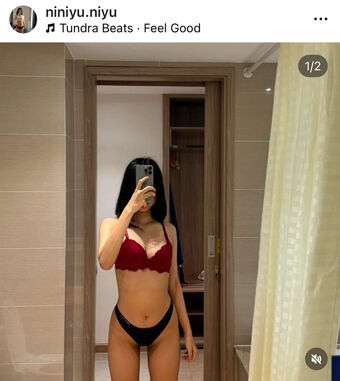 Viet.nini