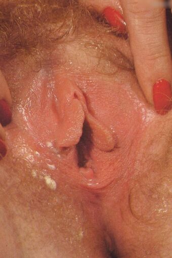 Vintage Erwachsenen Zeitschriften