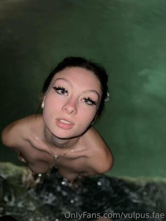 vulpus.fae