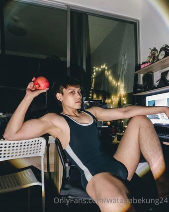 watanabekung24