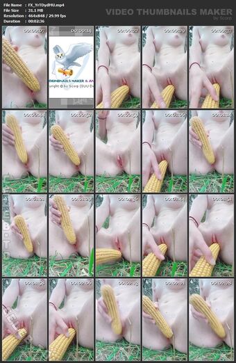 Whitebunny Nude Leaks OnlyFans Photo 29