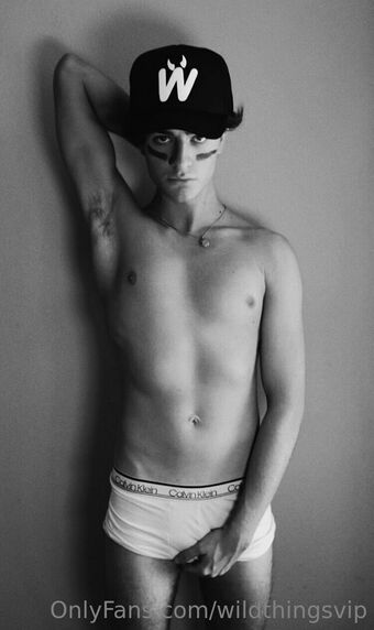 wildthingsvip
