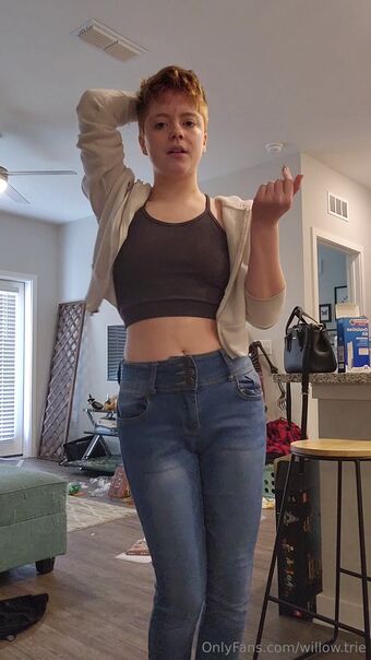 Willow Trie