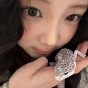 Wonhee Nude Leaks OnlyFans Photo 5
