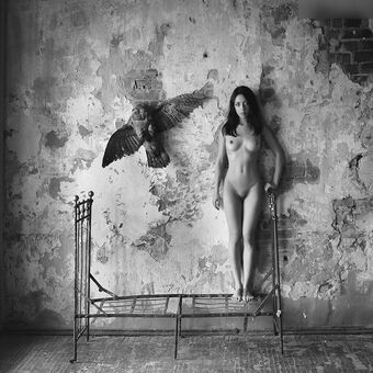 wowmowgli Nude Leaks OnlyFans Photo 42