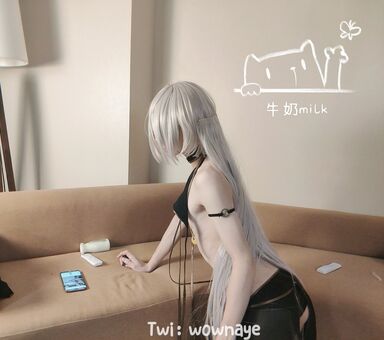 wownaye Nude Leaks OnlyFans Photo 11