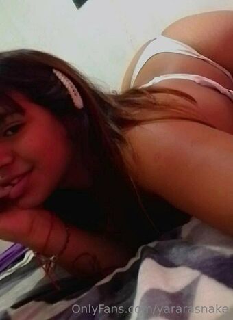 yararasnake