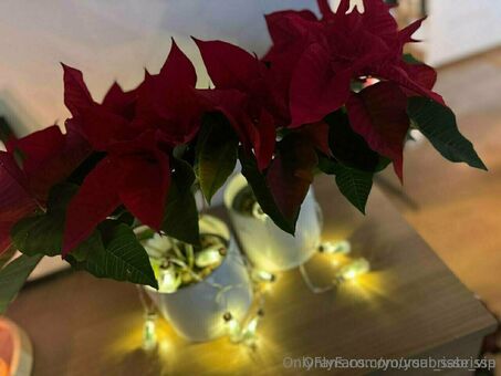 yoursabrisse_vip Nude Leaks OnlyFans Photo 37