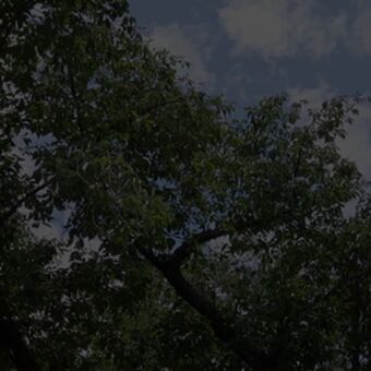 Yurika Aoi Nude Leaks OnlyFans Photo 13