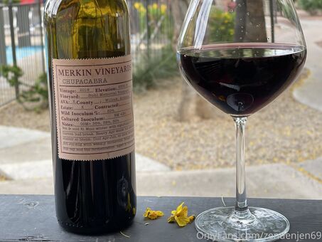 zendenjen69 Nude Leaks OnlyFans Photo 90