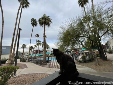 zendenjen69 Nude Leaks OnlyFans Photo 91