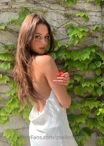 zoeleil Nude Leaks OnlyFans Photo 28