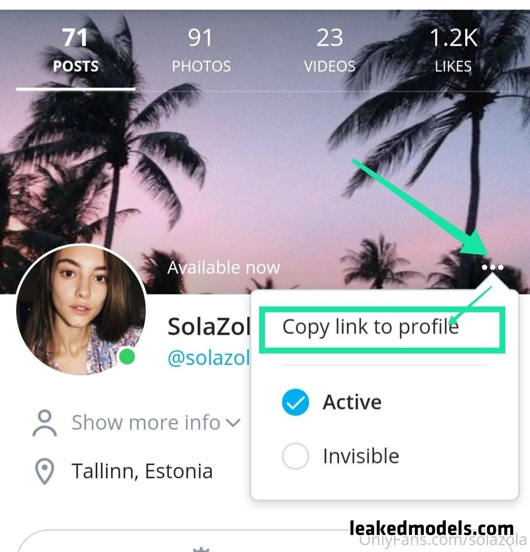 solazola OnlyFans Leaks (81 Photos and 6 Videos)