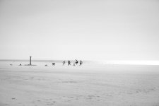 Brendan Lea-Nude-23-leakedmodels.com.jpg