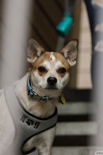 Katie Darling Nude LeakedModels.com 333.jpg