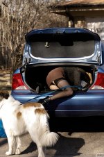 Helen Bergstrom Nude LeakedModels.com 1989.jpg