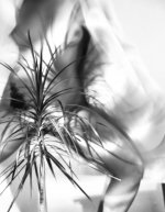 Hadmariz Navarrete-Nude-4-leakedmodels.com.jpg