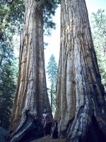 Shasta Wonder-Nude-5-leakedmodels.com.jpg