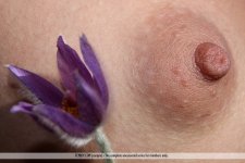 Milana D Nude LeakedModels.com 10.jpg