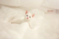 Dasha Snezhnaya-Nude-9-leakedmodels.com.jpg