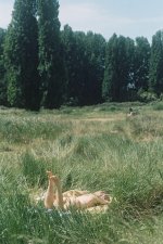 Liza Molnar-Nude-9-leakedmodels.com.jpg