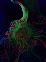 Katerina Reich-Nude-10-leakedmodels.com.jpg