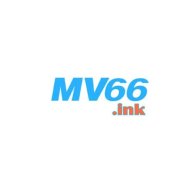 mv66ink