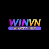 winvn11info