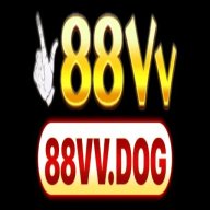 88vvdog
