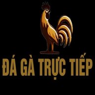 dagatructiephomnaycom