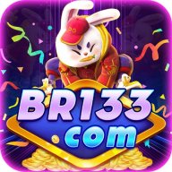 br133org