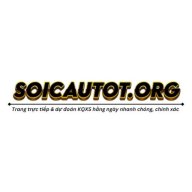 soicautotorg