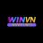 winvn11info