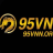 95vnnorg